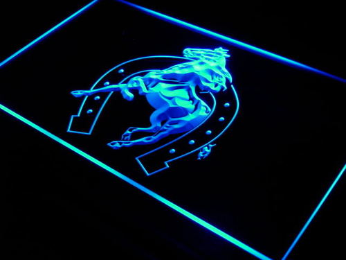 Horse in Shoe Display LED Light Sign